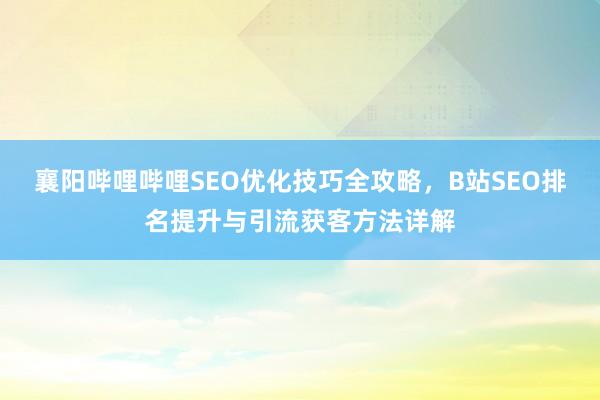 襄阳哔哩哔哩SEO优化技巧全攻略，B站SEO排名提升与引流获客方法详解