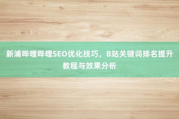 新浦哔哩哔哩SEO优化技巧，B站关键词排名提升教程与效果分析