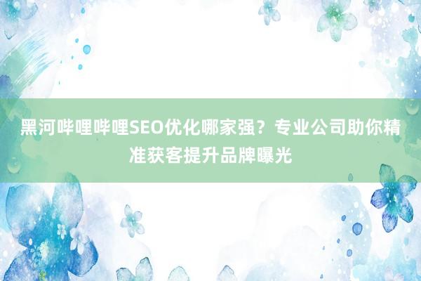 黑河哔哩哔哩SEO优化哪家强？专业公司助你精准获客提升品牌曝光