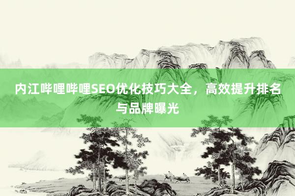 内江哔哩哔哩SEO优化技巧大全，高效提升排名与品牌曝光