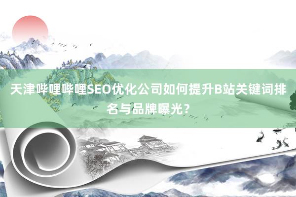 天津哔哩哔哩SEO优化公司如何提升B站关键词排名与品牌曝光？