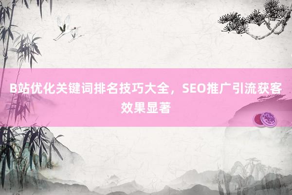 B站优化关键词排名技巧大全，SEO推广引流获客效果显著
