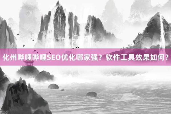 化州哔哩哔哩SEO优化哪家强？软件工具效果如何？