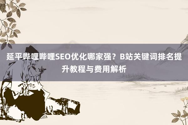 延平哔哩哔哩SEO优化哪家强？B站关键词排名提升教程与费用解析