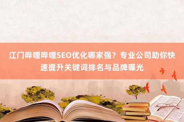 江门哔哩哔哩SEO优化哪家强？专业公司助你快速提升关键词排名与品牌曝光