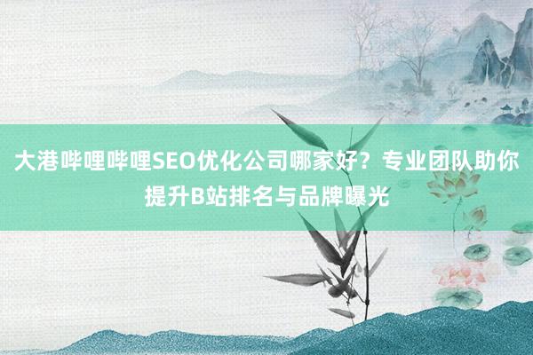 大港哔哩哔哩SEO优化公司哪家好？专业团队助你提升B站排名与品牌曝光