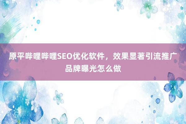 原平哔哩哔哩SEO优化软件，效果显著引流推广品牌曝光怎么做
