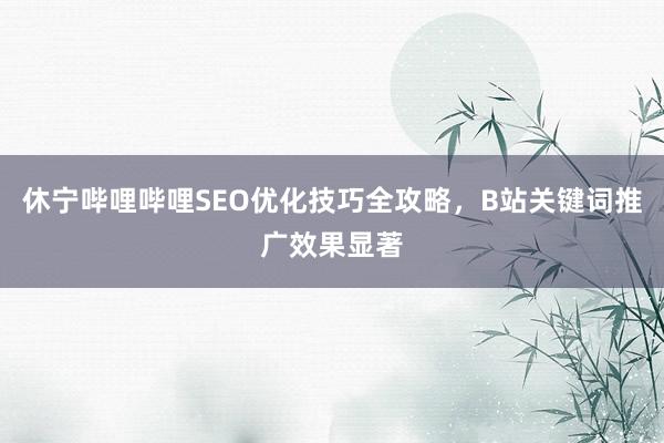 休宁哔哩哔哩SEO优化技巧全攻略，B站关键词推广效果显著