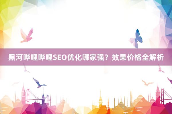 黑河哔哩哔哩SEO优化哪家强？效果价格全解析