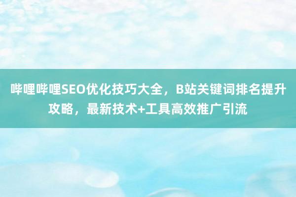 哔哩哔哩SEO优化技巧大全，B站关键词排名提升攻略，最新技术+工具高效推广引流