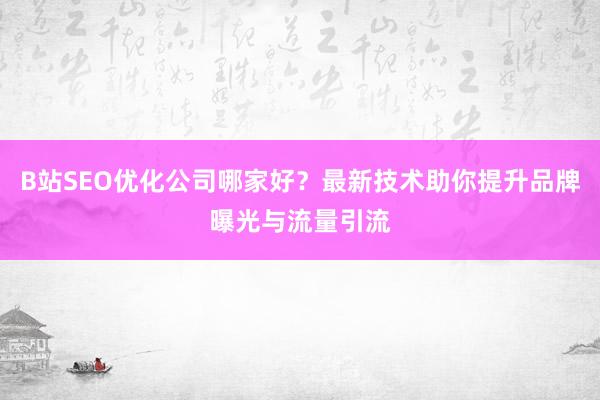 B站SEO优化公司哪家好？最新技术助你提升品牌曝光与流量引流