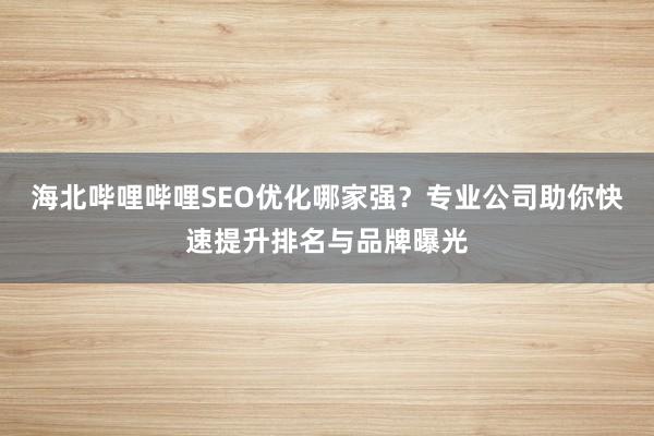 海北哔哩哔哩SEO优化哪家强？专业公司助你快速提升排名与品牌曝光