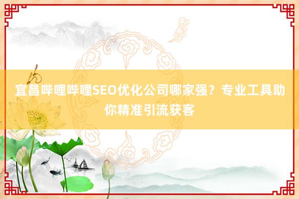 宜昌哔哩哔哩SEO优化公司哪家强？专业工具助你精准引流获客