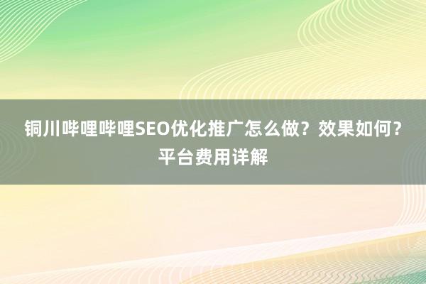 铜川哔哩哔哩SEO优化推广怎么做？效果如何？平台费用详解
