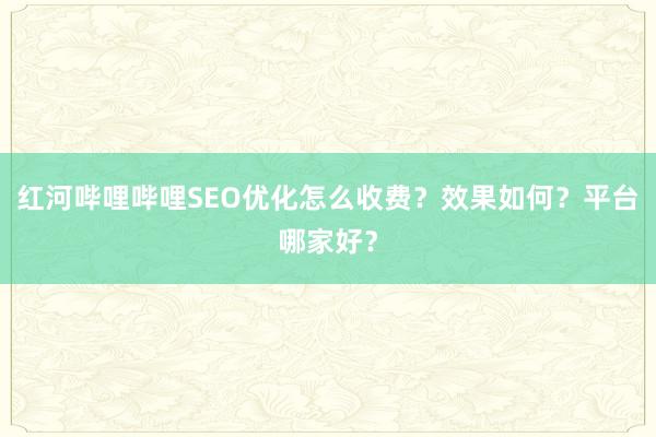 红河哔哩哔哩SEO优化怎么收费？效果如何？平台哪家好？