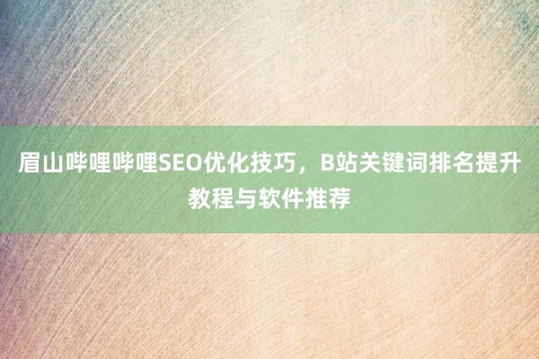 眉山哔哩哔哩SEO优化技巧，B站关键词排名提升教程与软件推荐