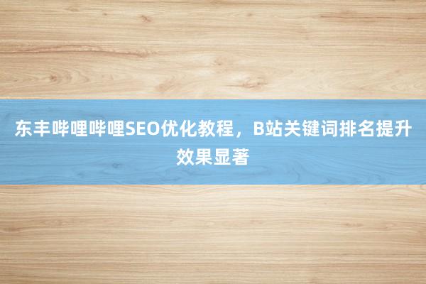 东丰哔哩哔哩SEO优化教程，B站关键词排名提升效果显著