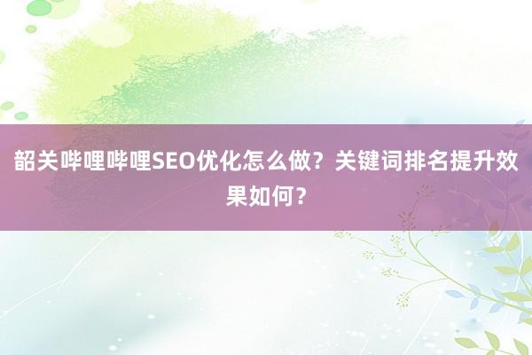 韶关哔哩哔哩SEO优化怎么做？关键词排名提升效果如何？