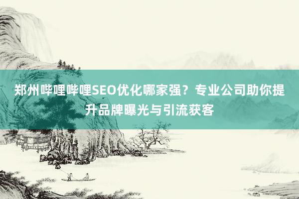 郑州哔哩哔哩SEO优化哪家强？专业公司助你提升品牌曝光与引流获客
