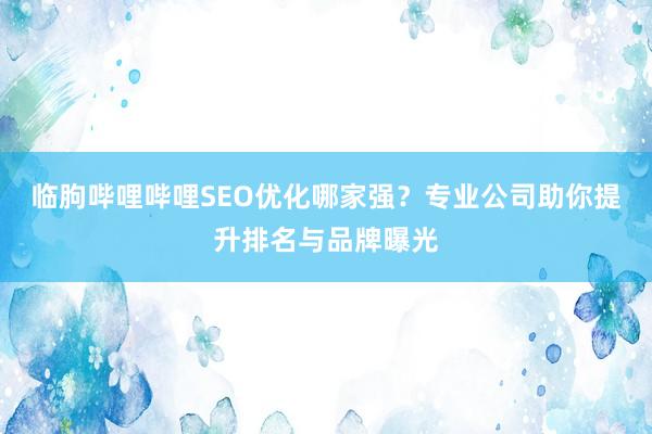 临朐哔哩哔哩SEO优化哪家强？专业公司助你提升排名与品牌曝光