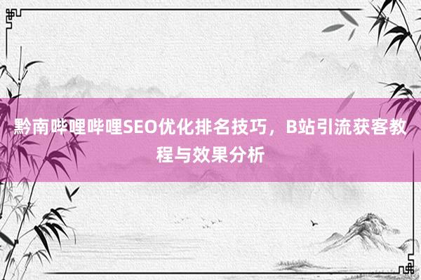 黔南哔哩哔哩SEO优化排名技巧，B站引流获客教程与效果分析