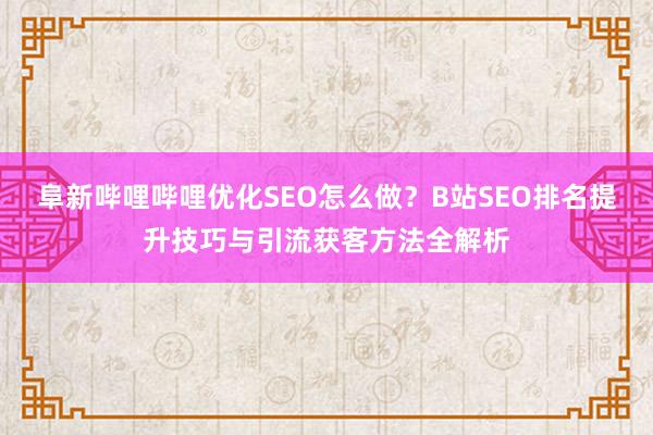 阜新哔哩哔哩优化SEO怎么做？B站SEO排名提升技巧与引流获客方法全解析