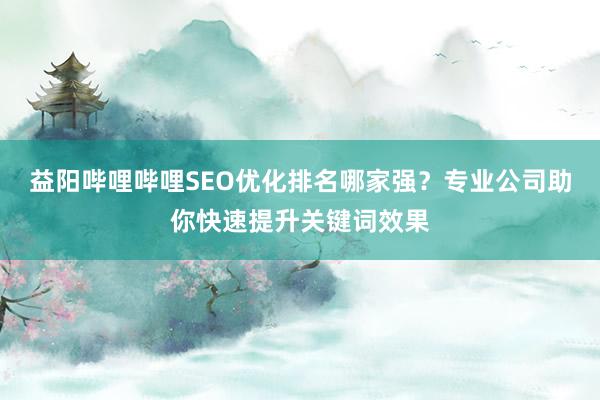 益阳哔哩哔哩SEO优化排名哪家强？专业公司助你快速提升关键词效果