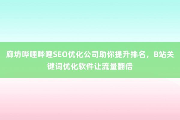 廊坊哔哩哔哩SEO优化公司助你提升排名，B站关键词优化软件让流量翻倍