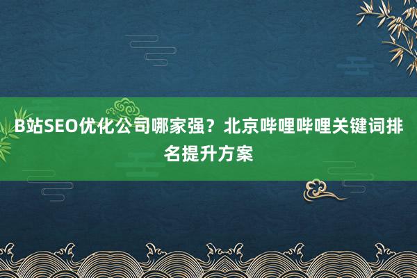 B站SEO优化公司哪家强？北京哔哩哔哩关键词排名提升方案