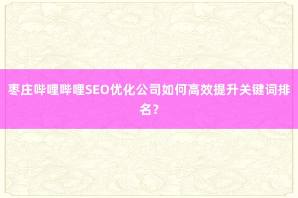枣庄哔哩哔哩SEO优化公司如何高效提升关键词排名？