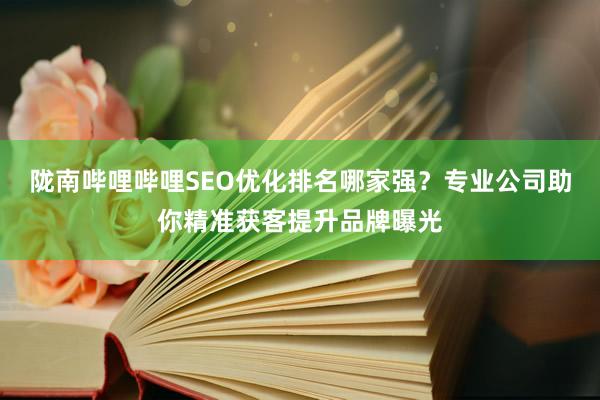 陇南哔哩哔哩SEO优化排名哪家强？专业公司助你精准获客提升品牌曝光