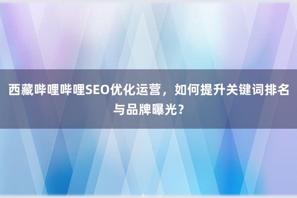 西藏哔哩哔哩SEO优化运营，如何提升关键词排名与品牌曝光？