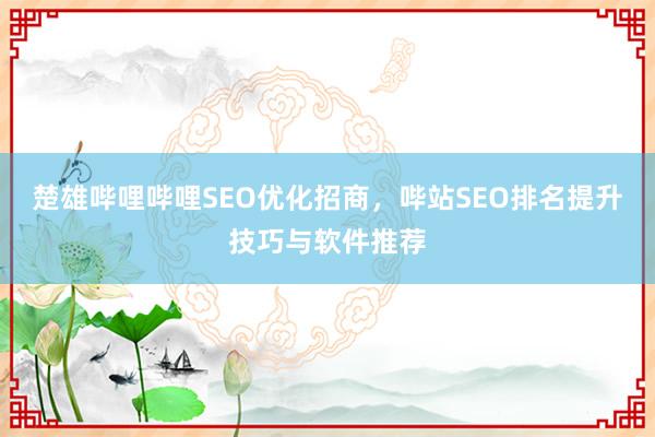 楚雄哔哩哔哩SEO优化招商，哔站SEO排名提升技巧与软件推荐