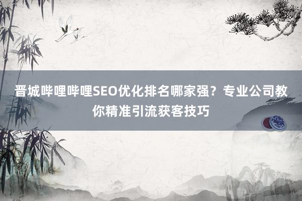 晋城哔哩哔哩SEO优化排名哪家强？专业公司教你精准引流获客技巧