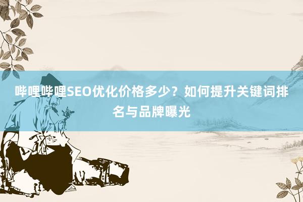 哔哩哔哩SEO优化价格多少？如何提升关键词排名与品牌曝光