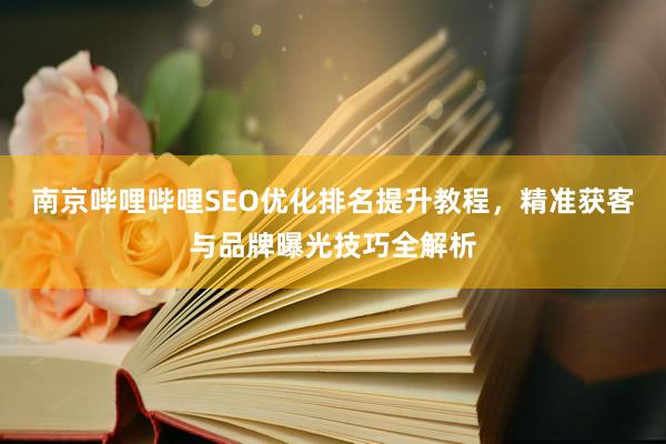 南京哔哩哔哩SEO优化排名提升教程，精准获客与品牌曝光技巧全解析