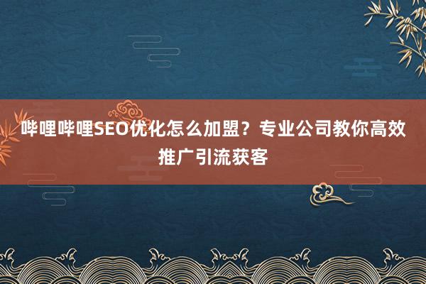 哔哩哔哩SEO优化怎么加盟？专业公司教你高效推广引流获客