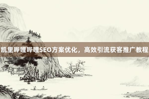 凯里哔哩哔哩SEO方案优化，高效引流获客推广教程