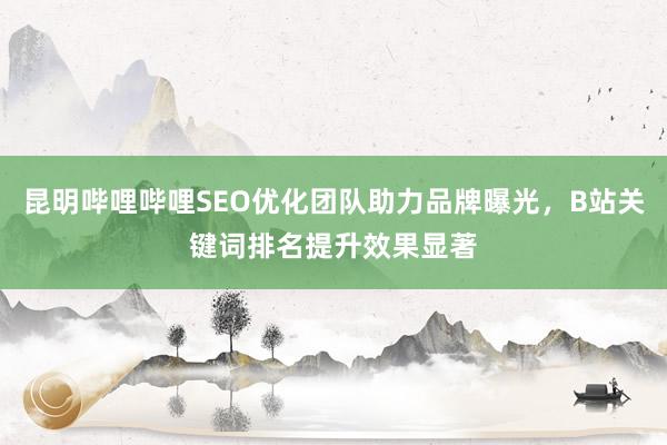昆明哔哩哔哩SEO优化团队助力品牌曝光，B站关键词排名提升效果显著