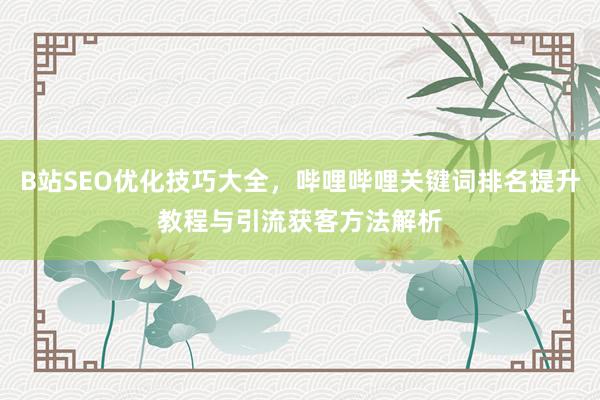 B站SEO优化技巧大全，哔哩哔哩关键词排名提升教程与引流获客方法解析