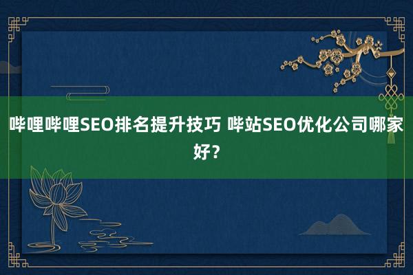 哔哩哔哩SEO排名提升技巧 哔站SEO优化公司哪家好？