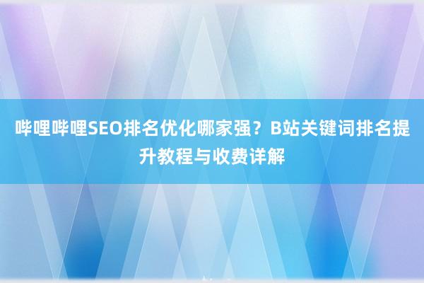 哔哩哔哩SEO排名优化哪家强？B站关键词排名提升教程与收费详解