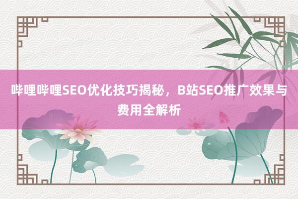 哔哩哔哩SEO优化技巧揭秘，B站SEO推广效果与费用全解析