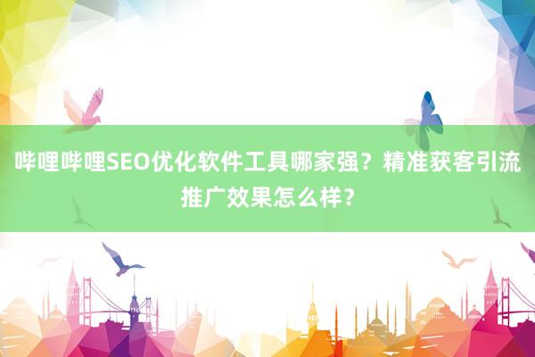 哔哩哔哩SEO优化软件工具哪家强？精准获客引流推广效果怎么样？