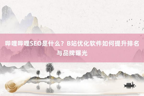 哔哩哔哩SEO是什么？B站优化软件如何提升排名与品牌曝光