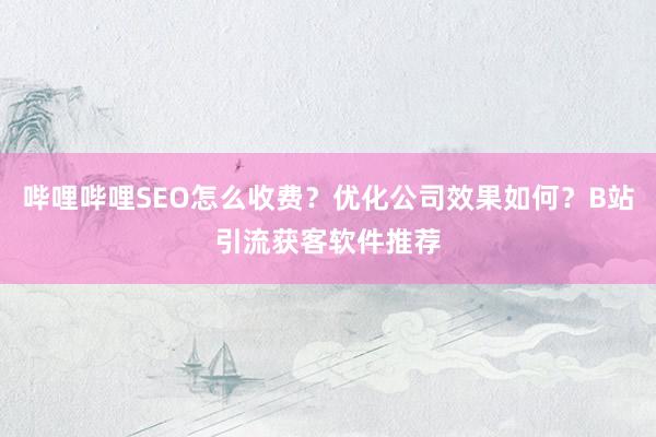 哔哩哔哩SEO怎么收费？优化公司效果如何？B站引流获客软件推荐