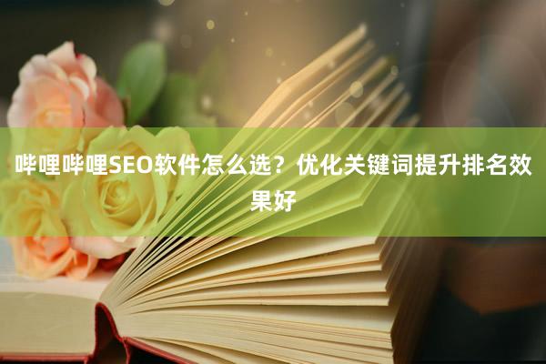 哔哩哔哩SEO软件怎么选？优化关键词提升排名效果好