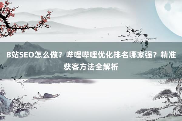 B站SEO怎么做？哔哩哔哩优化排名哪家强？精准获客方法全解析