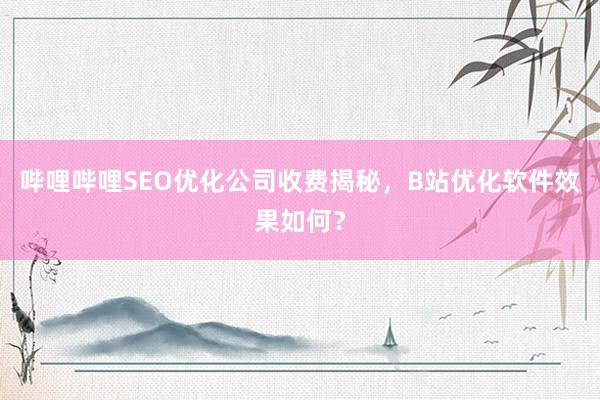 哔哩哔哩SEO优化公司收费揭秘，B站优化软件效果如何？