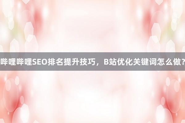 哔哩哔哩SEO排名提升技巧，B站优化关键词怎么做？